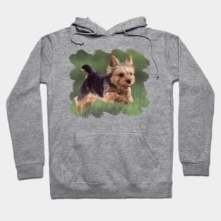 Yorkshire Terrier Painting Hoodie